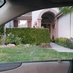 Sharon Morken - @sharonmorken - Instagram