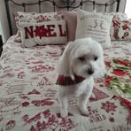 Sharon Gallagher Morrill - Facebook