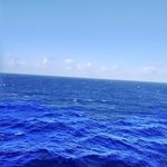 Sharon Morrill - @slmorrill13 - Instagram