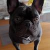 Sharon Mort - @sharon.mort - TikTok