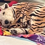 Sharon Johnson - @sharon_mosier_johnson - Instagram