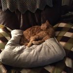 Sharon Mosier - @mosier1872 - Instagram