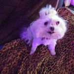 Sharon Mosier - @sharon.mosier.370 - Instagram