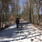 Sharon Mosier - @sharonm756 - Instagram