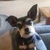 Sharon Mote - Facebook