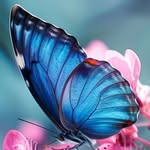 Sharon McIlvoy Mounce Hite - @hitesharon - Instagram