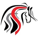 Sharon Mowry - @diamond_s_rodeos - Instagram