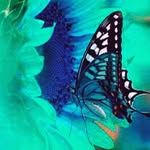 Sharon MucKey - @sharonmuckey - Instagram