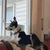Sharon Munn - Facebook