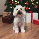 Sharon Munroe - @sharonrosemunroe - Instagram