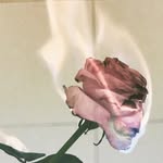 Sharon munson - @shortone_42 - Instagram