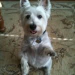 Sharon Munson - @tmunson007 - Instagram