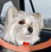 Sharon Munson - Facebook