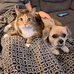Sharon Munson - @smunson2505 - Instagram
