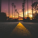 Sharon Mutter - @sharonmutter5 - Instagram