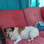 Sharon Mutter - Facebook