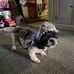 Sharon Norgren Nagy - Facebook