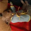 ... - @sharon.nathaniel - TikTok