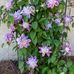 Sharon Neeley - Facebook