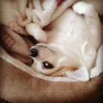 Sharon Nell - @sharon.nell.77 - Instagram