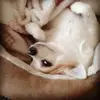 Sharon Nell - @sharonnell0y145 - TikTok