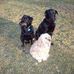 Sharon Netherton - Facebook