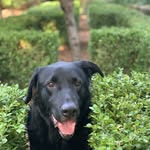 sharon netherton - @sivissmith - Instagram