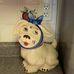 Sharon Netherton - Facebook