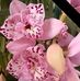 Sharon Newberry - Facebook
