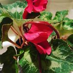 Sharon Newberry - @sharon.newberry.75 - Instagram