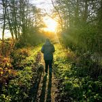 Sharon Newcombe - @shazwoz - Instagram