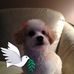 Sharon Niles - Facebook