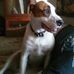 Sharon Northern - Facebook