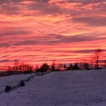 Sharon A Northrup - @quiggins68 - Instagram