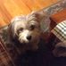 Sharon Northrup - Facebook