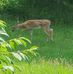 Sharon Nowak - Facebook