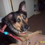 Sharon Nowell - @snmyfbmail - Instagram
