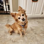 Sharon Nowlin - @sharon.nowlin - Instagram