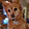 Sharon Nowlin - @sharonnowlin910 - TikTok