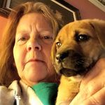 Sharon Noyes Boone - @snboone1 - Instagram