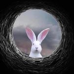 Sharon Haley Nugent - @shrnhlyngnt - Instagram