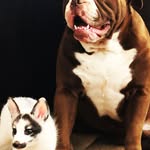 Sharon Nunley - @nunleyranch - Instagram