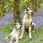 Sharon Nunn - @shazanbaza - Instagram