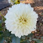 Sharon Kaufman Nutter - @sharon.nutter - Instagram