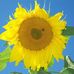 Sharon Nygard - Facebook
