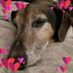 Sharon Oakes - @bookworm7509 - Instagram