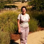 Sharon Oakes - @oakes_sharon - Instagram