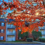 Sharon Oaks Apartments - @sharonoaksapartments - Instagram