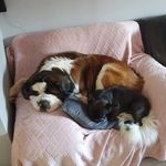 Sharon Oakshott - @sharonoakshott - Instagram