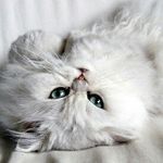 Sharon Oberhofer - @sharonoberhofer - Instagram